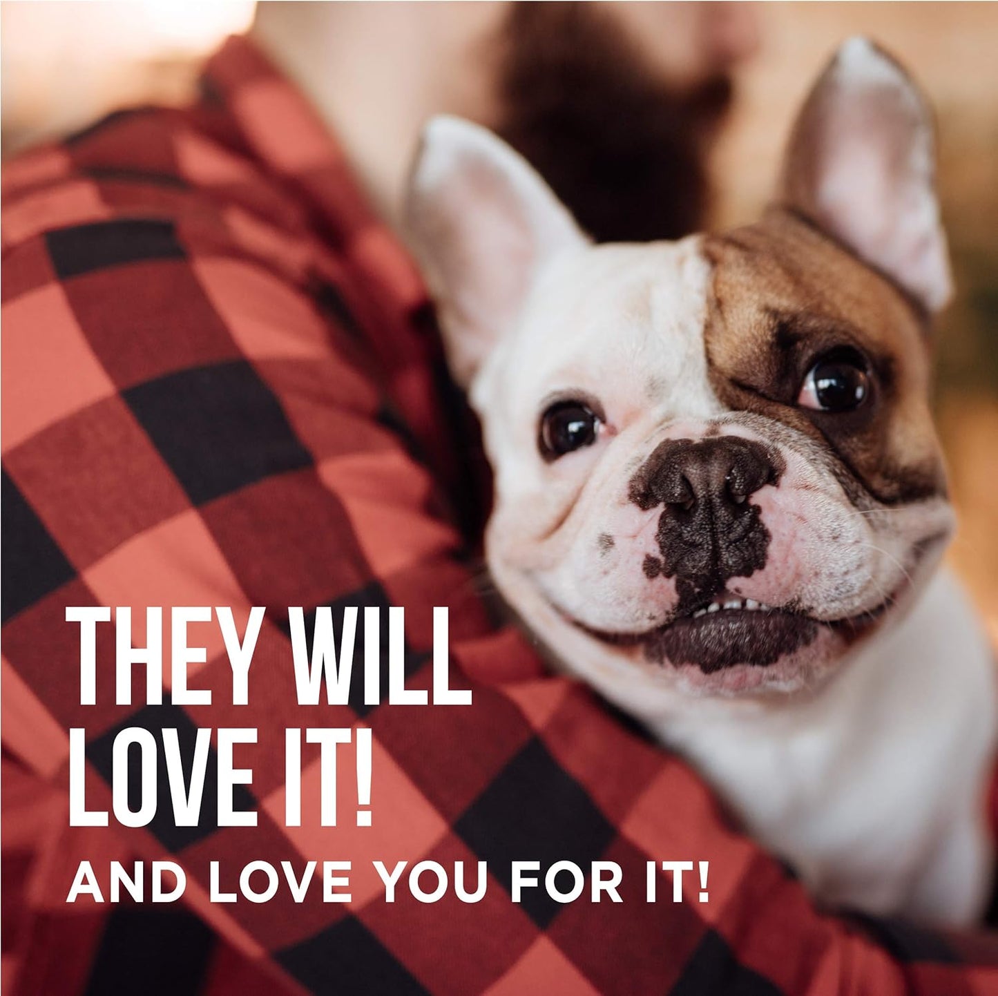 Beef Tendon Dog Treats - the Only Beef Tendon Chews Dogs Need- All Natural Dog Treats for Small and Large Dogs (5 Chews)