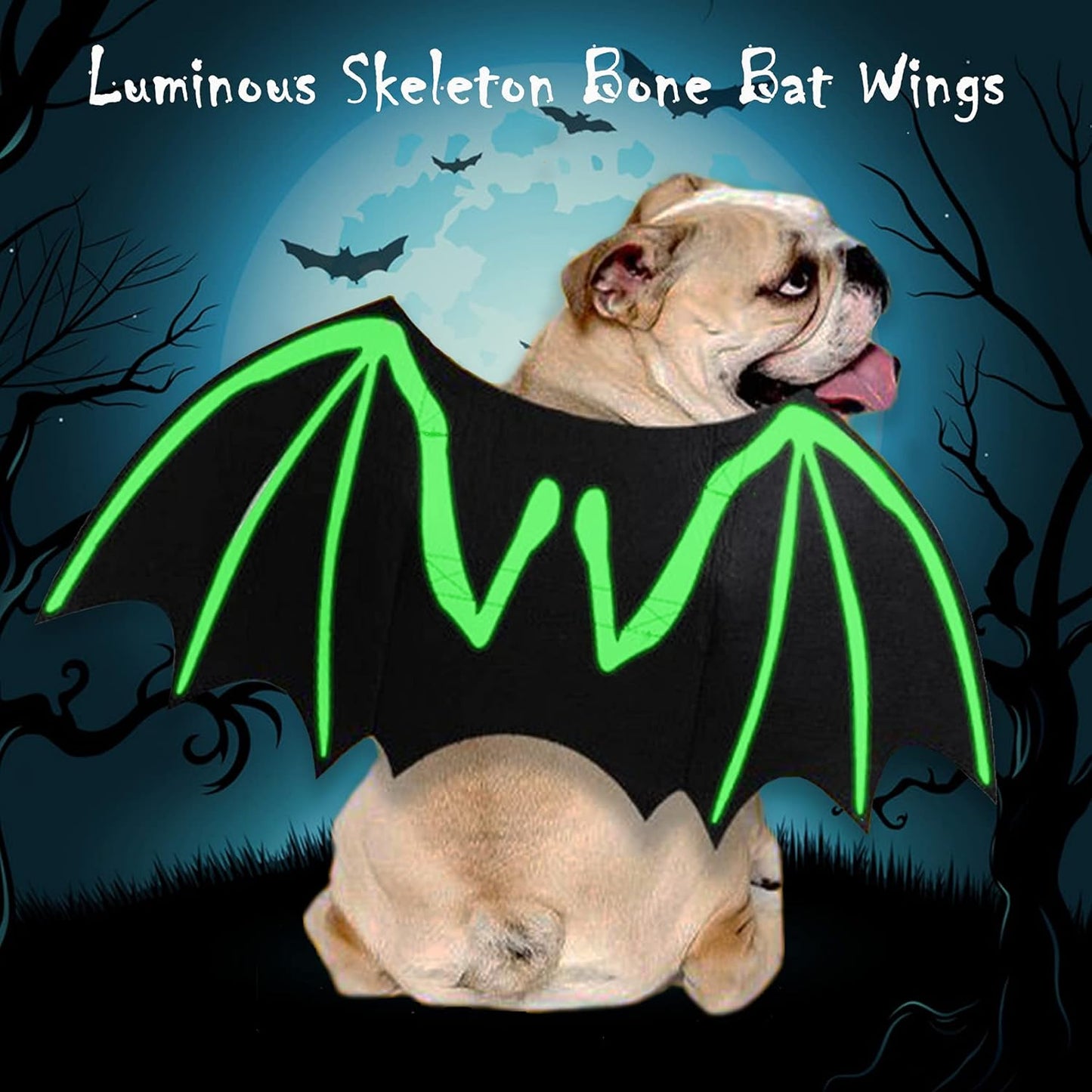 Dog Halloween Costumes, Cool Luminous Skeleton Bone Bat Wings Cosplay Cat Pets Costumes Dress up Apparel Accessories for Kitten Puppies, M