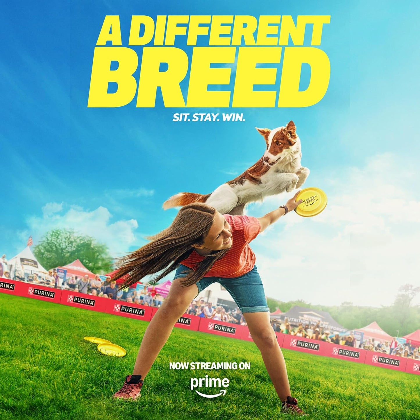 Wet Puppy Food Pate, Wet Food Classic Chicken and Rice Entrée - (Pack of 12) 13 Oz. Cans