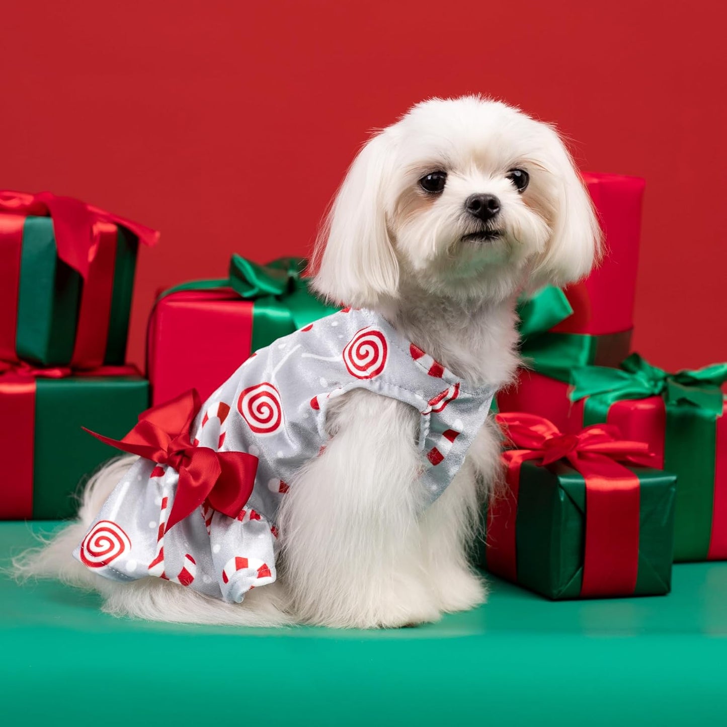 Christmas Candy Canes Dog Dress, Cute Dog Christmas Outfit, Doggy Clothes for Small Dogs Girl, Pet Apparel, Silver, Red, White, Medium