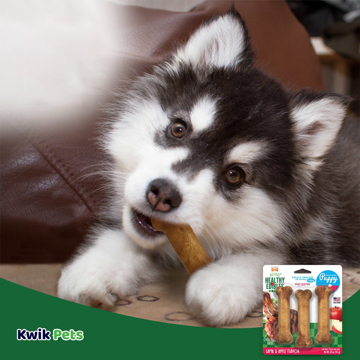 Healthy Edibles Puppy Natural Long Lasting Dog Chew Treats Lamb & Apple/Small/Regular 3 Ct
