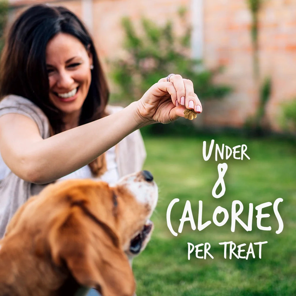 Crunchy Baked Dog Treats Pumpkin/Blueberry, 1Ea/7 Oz