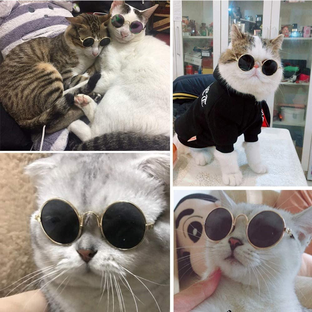 2Pcs Random Color Small Cat Kitten Glasses Pet Glasses Dog Sunglasses Pet Supplies Kittens Pet Sunglasses 3 Cm/1.1 Inch Cosplay Costume Photos Props
