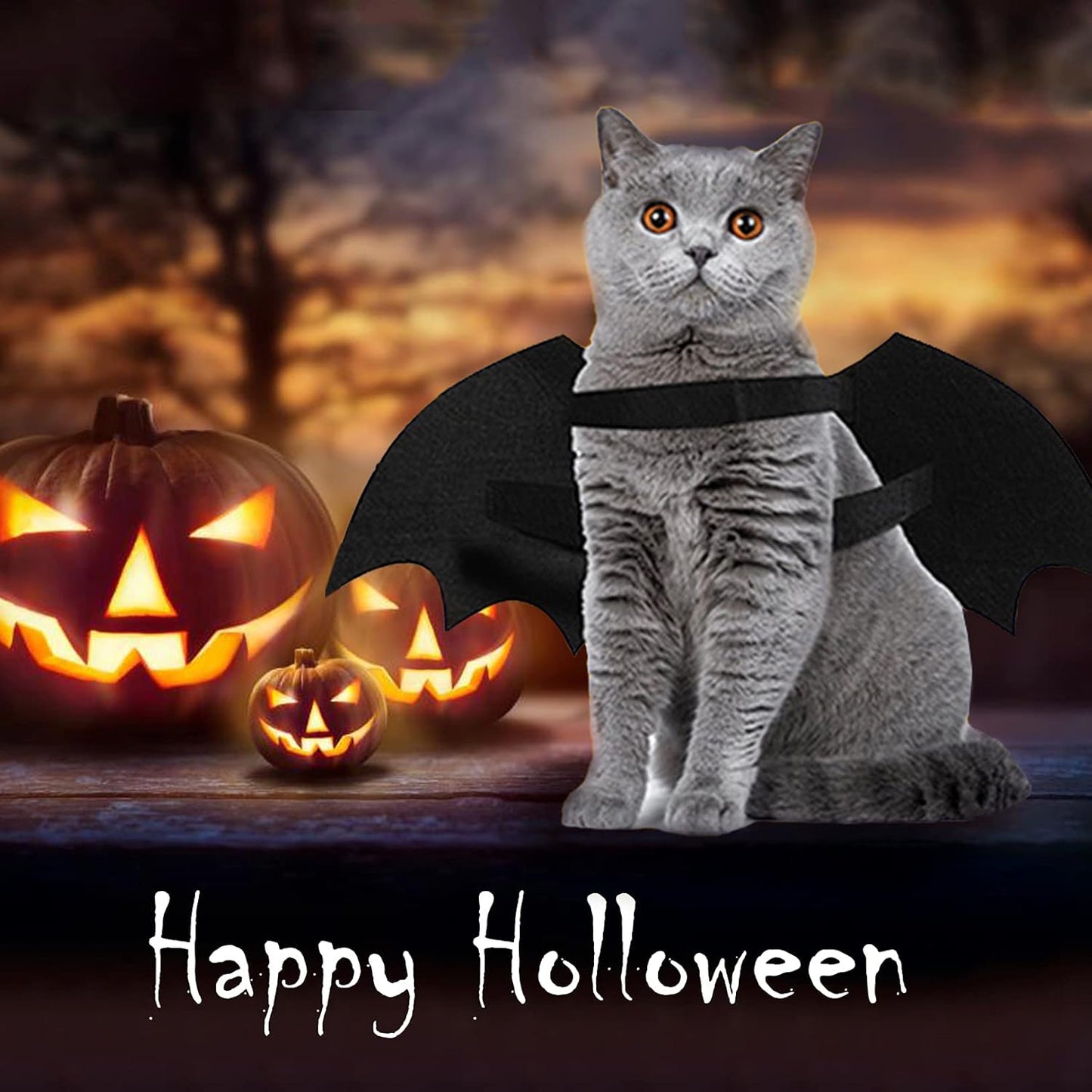 Dog Halloween Costumes, Cool Luminous Skeleton Bone Bat Wings Cosplay Cat Pets Costumes Dress up Apparel Accessories for Kitten Puppies, M