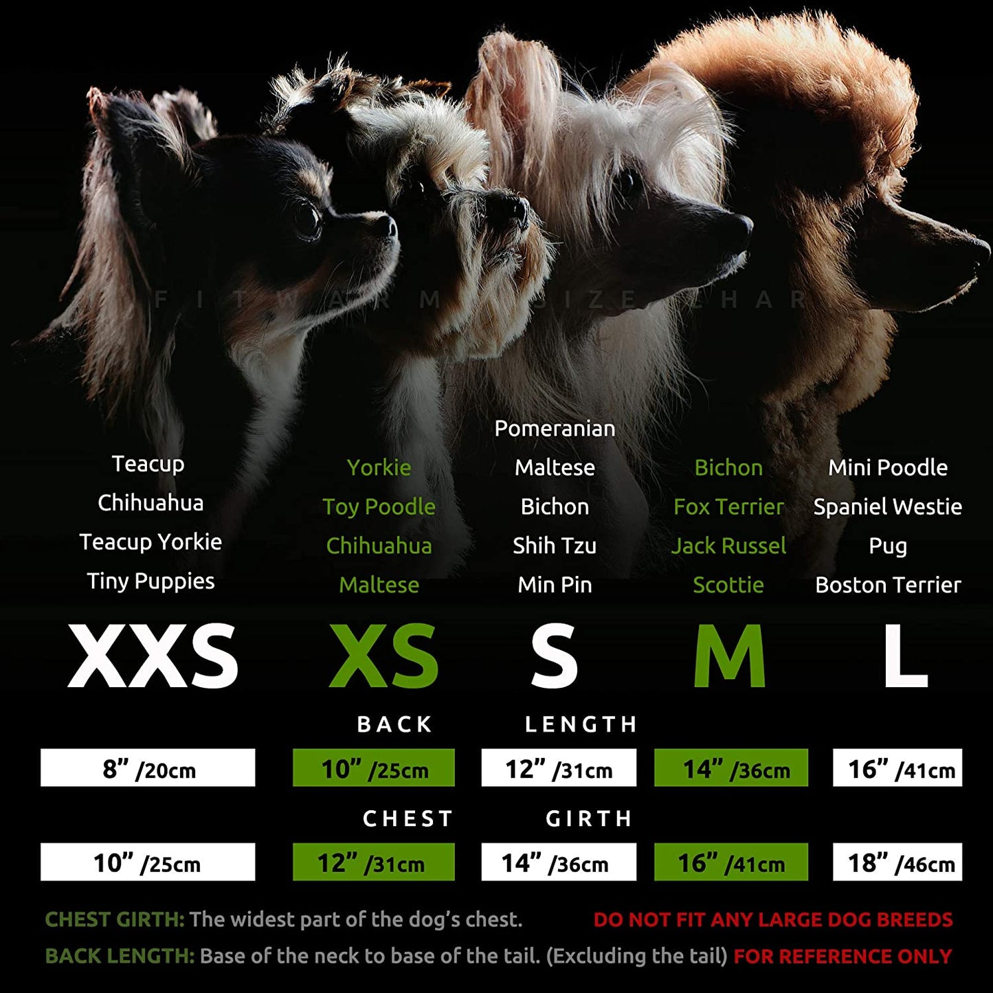 Christmas Candy Canes Dog Dress, Cute Dog Christmas Outfit, Doggy Clothes for Small Dogs Girl, Pet Apparel, Silver, Red, White, Medium