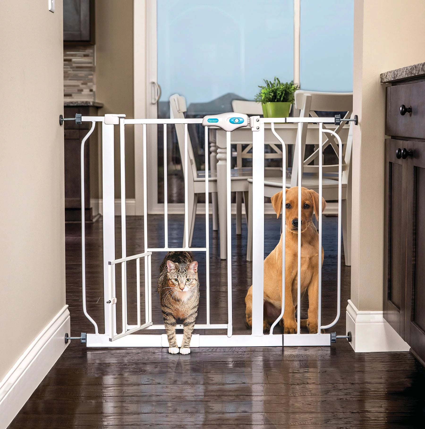 Metal Gate for Dogs, Extra-Wide Walk Through, Additional Small Door, White, 31" Tall