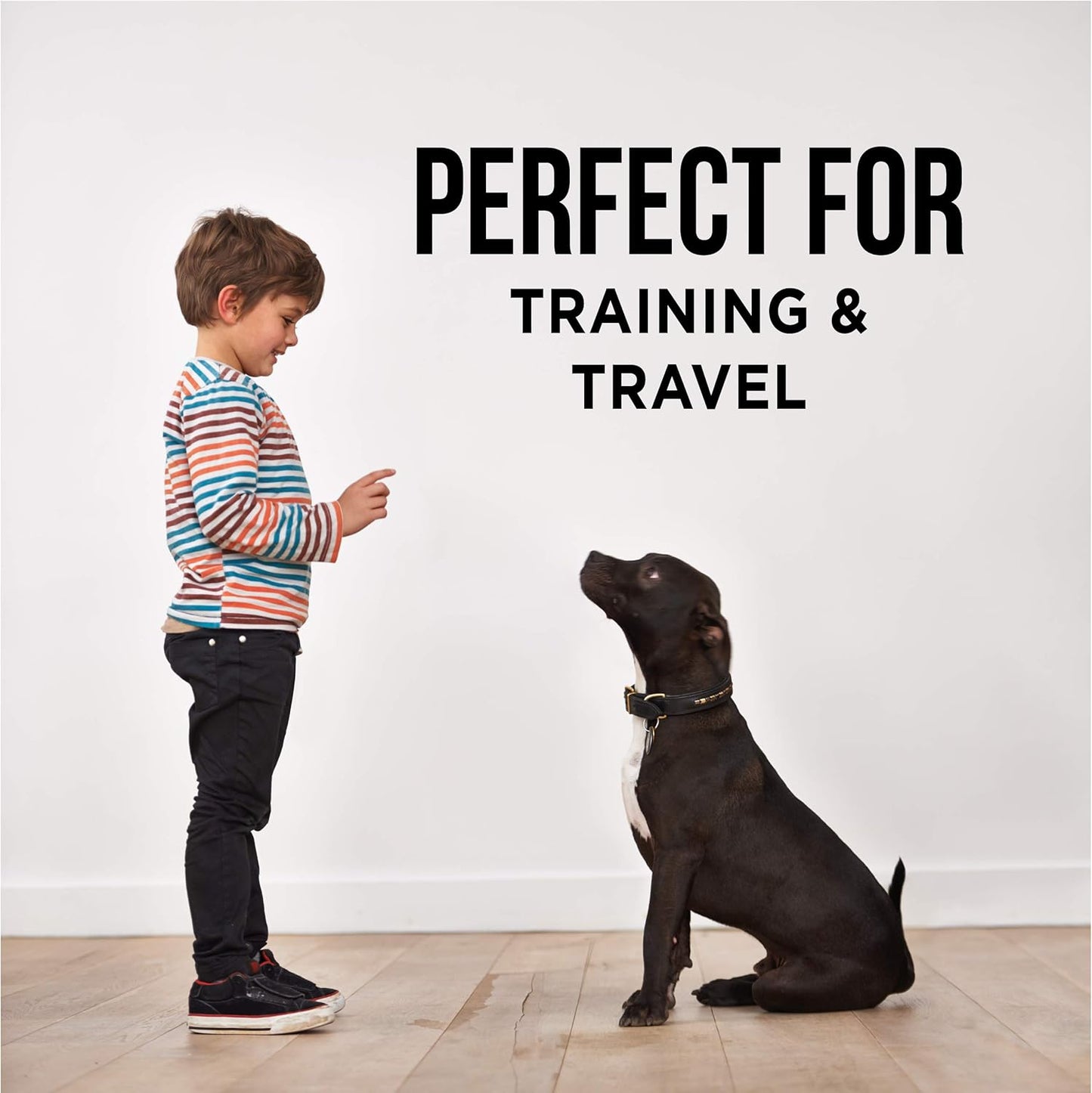 Beef Tendon Dog Treats - the Only Beef Tendon Chews Dogs Need- All Natural Dog Treats for Small and Large Dogs (5 Chews)