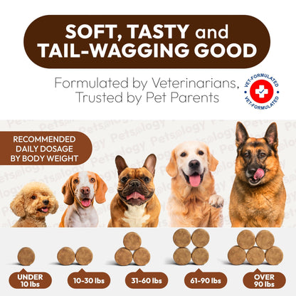 Mushroom Chews Supplement Multivitamin for Dogs Vitamins Health