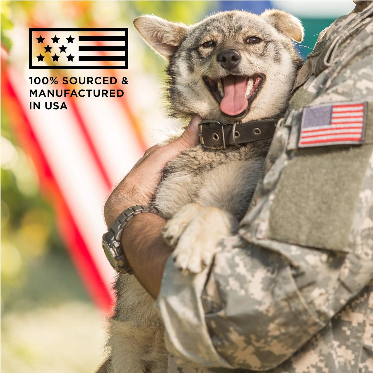 Beef Tendon Dog Treats - the Only Beef Tendon Chews Dogs Need- All Natural Dog Treats for Small and Large Dogs (5 Chews)