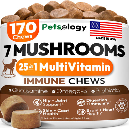 Mushroom Chews Supplement Multivitamin for Dogs Vitamins Health