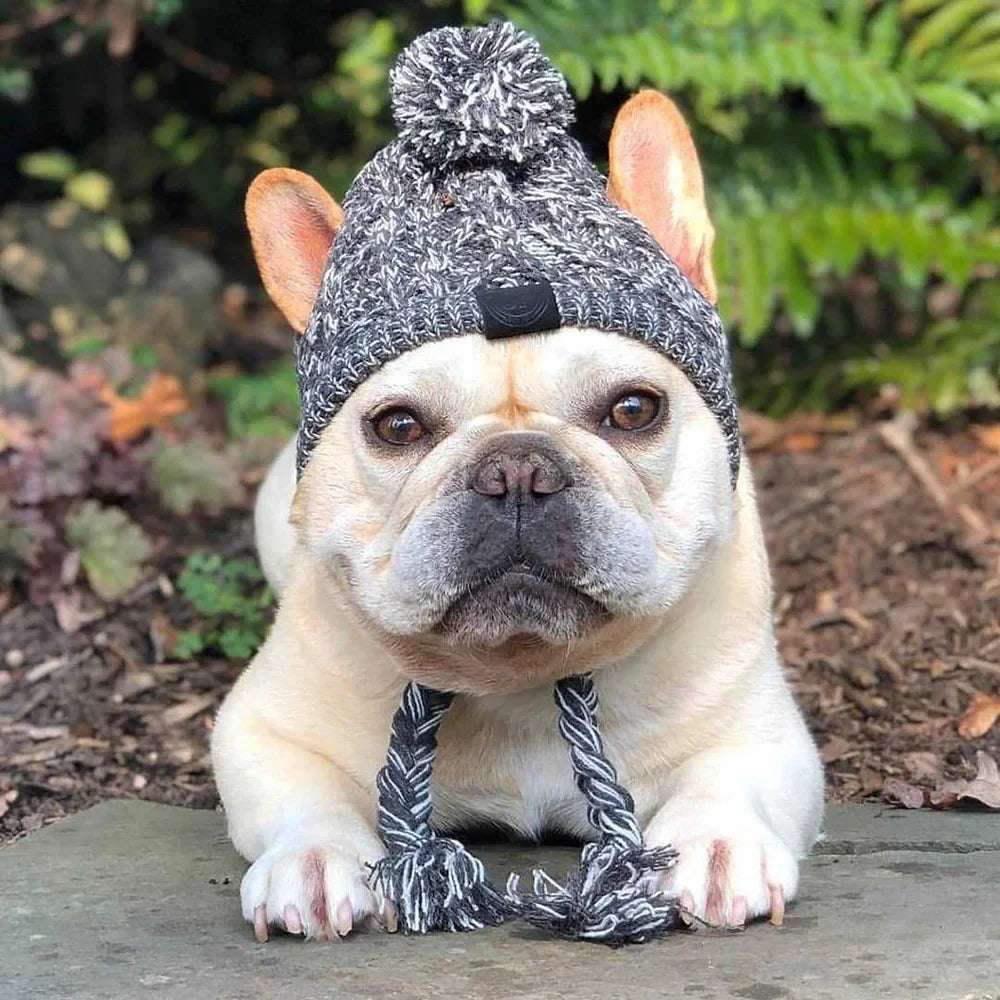 Winter Pet Cat Dog Hat Cap Christmas Warm Windproof Pet Hats Woolen Dog Accessories for Small Medium Dogs Outdoor Bulldog Caps