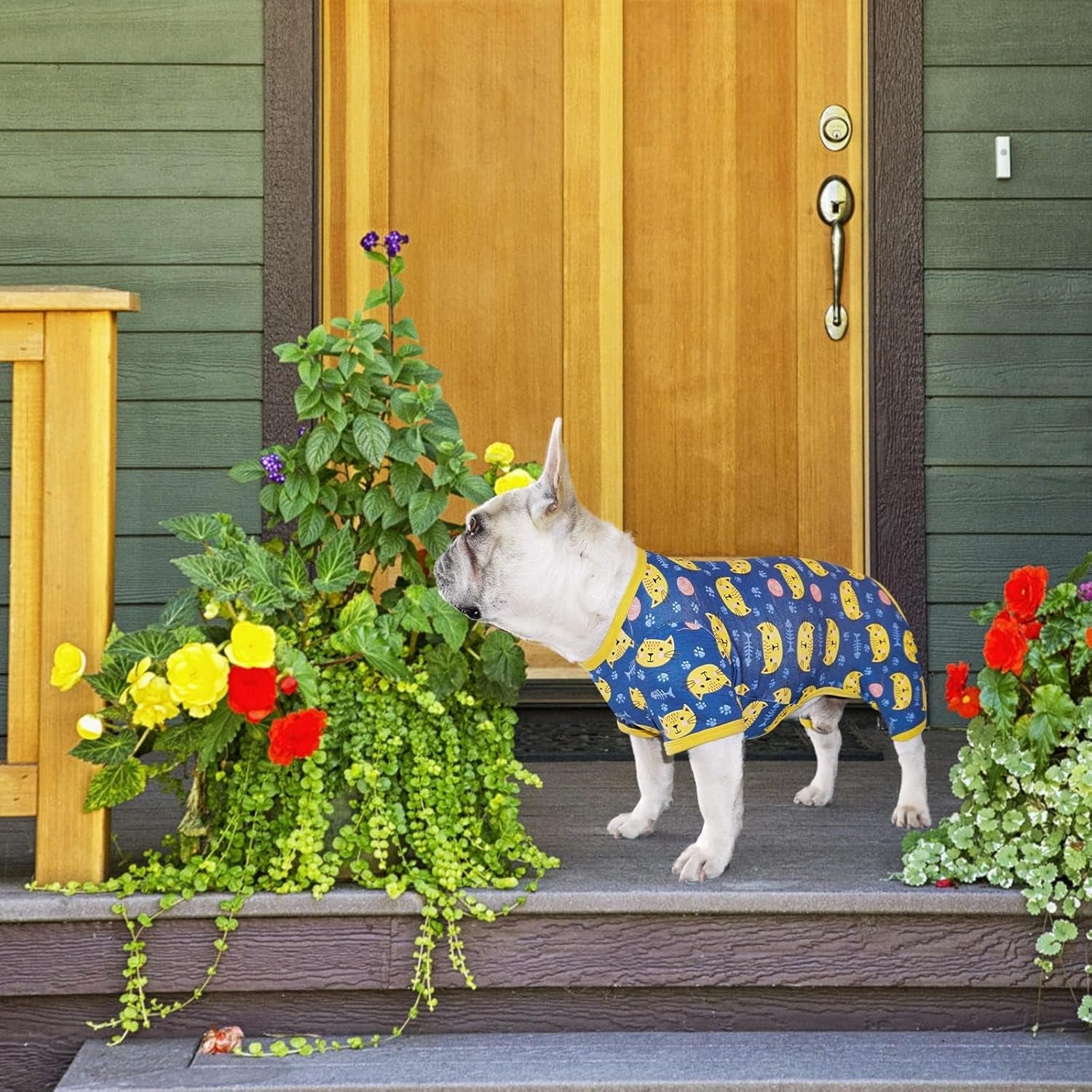 Dog Pajamas with Cute Big Face Cat, Pet Jumpsuit Soft Lightweight Cotton for Small Medium Dog (Blue, Cat, XS)