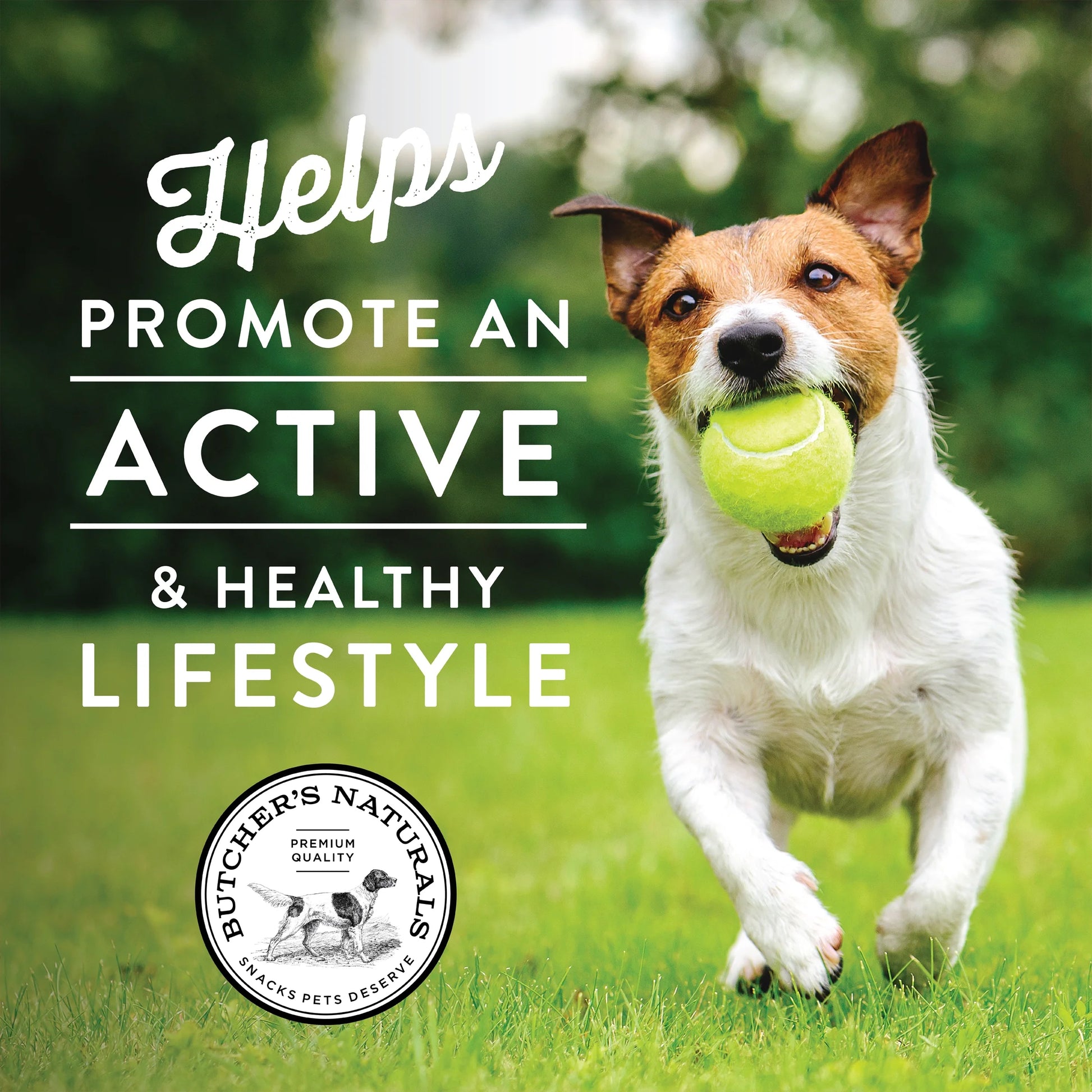 Butcher’S Naturals Pork Flavored Jerky Treats for Dogs, 16 Oz