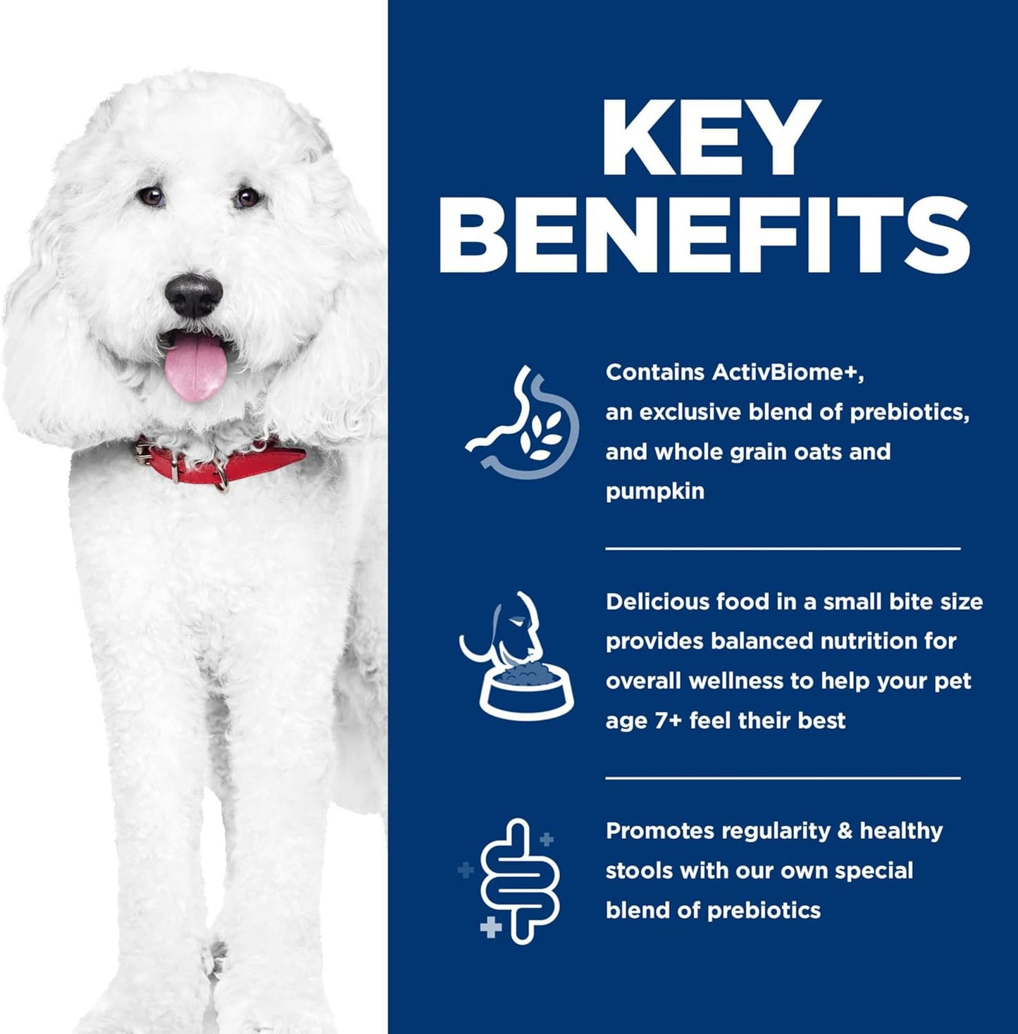 Perfect Digestion, Senior Adult 7+, Digestive Support, Small Kibble, Dry Dog Food, Chicken, Brown Rice, & Whole Oats, 12 Lb Bag