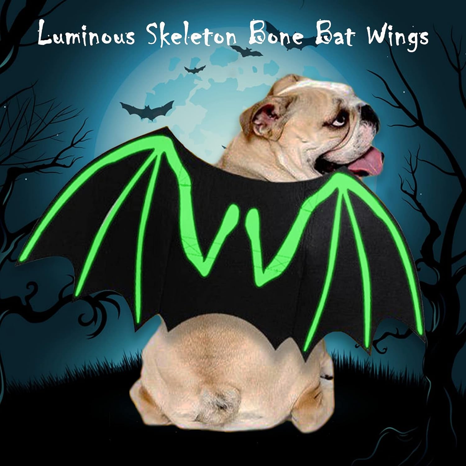 Dog Halloween Costumes, Cool Luminous Skeleton Bone Bat Wings Cosplay Cat Pets Costumes Dress up Apparel Accessories for Kitten Puppies, M