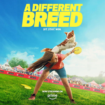 Wet Puppy Food Pate, Wet Food Classic Chicken and Rice Entrée - (Pack of 12) 13 Oz. Cans