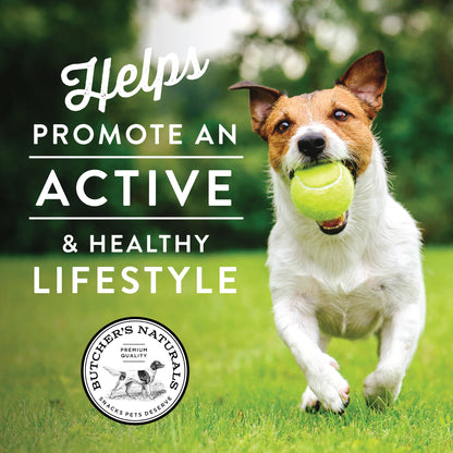 Beef Flavor Sausage Training Treats for Dogs, 10 Oz