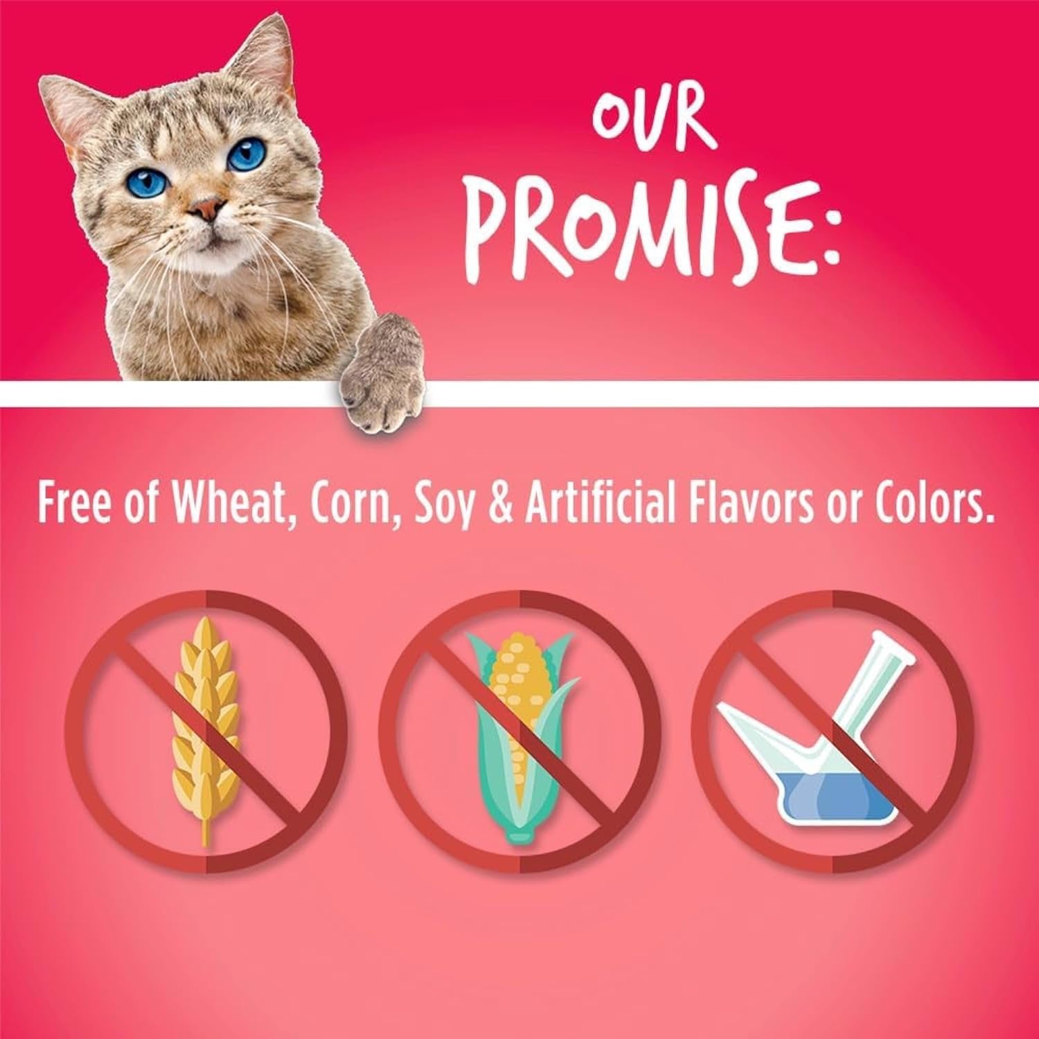 Cat Crunchy Treats for Cats – Healthy Low Calorie Packed with Protein – No Wheat, Corn or Soy – Made with Real Salmon with Cranberry – 2.5 Ounces