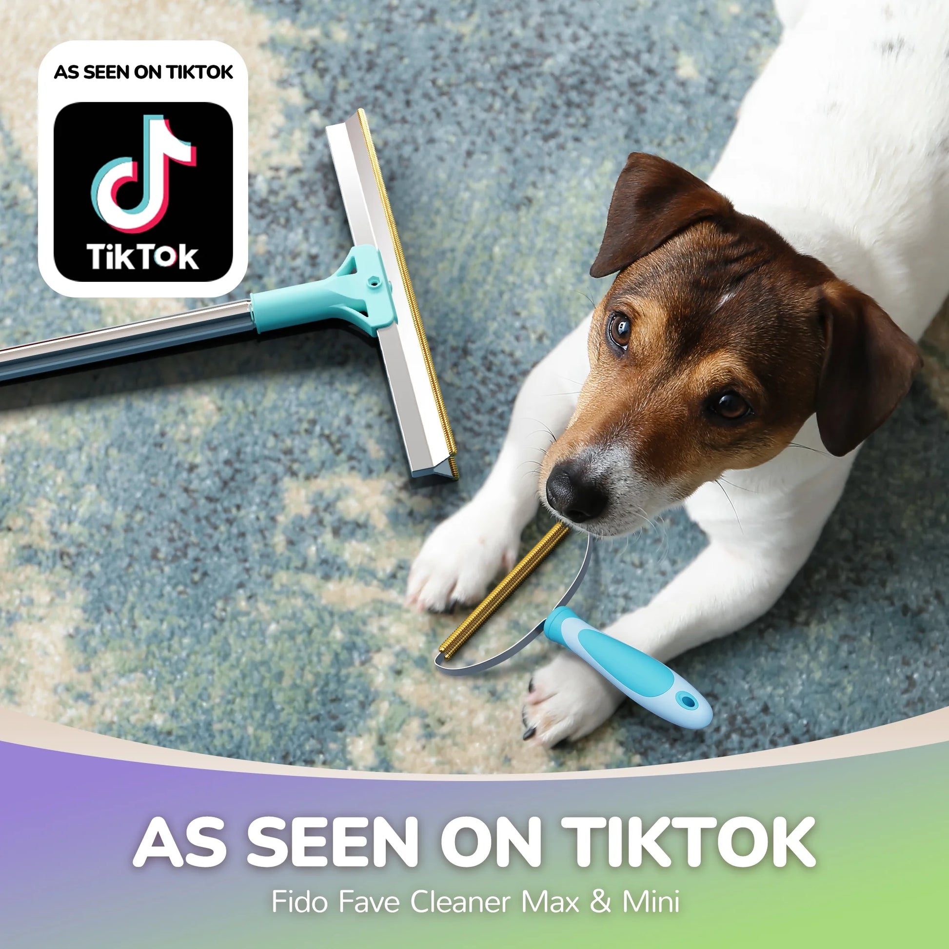 Xtra Max Pet Hair Remover Kit - Cleaning Tool for Pet Hair Removal, Blue, 2-Pack Carpet Rake Scraper