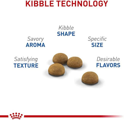 Feline Health Nutrition Indoor Long Hair Adult Dry Cat Food, 6 Lb Bag