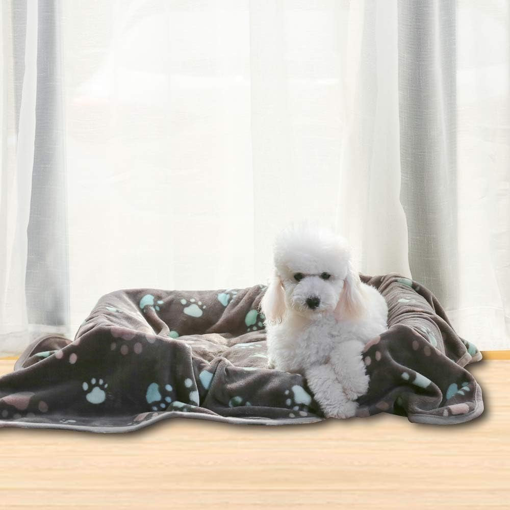 350 Gsm-Super Soft and Premium Fuzzy Flannel Fleece Pet Dog Blanket, the Cute Print Design Washable Fluffy Blanket for Puppy Cat Kitten Indoor Outdoor, Grey, 40 X 32 Inches