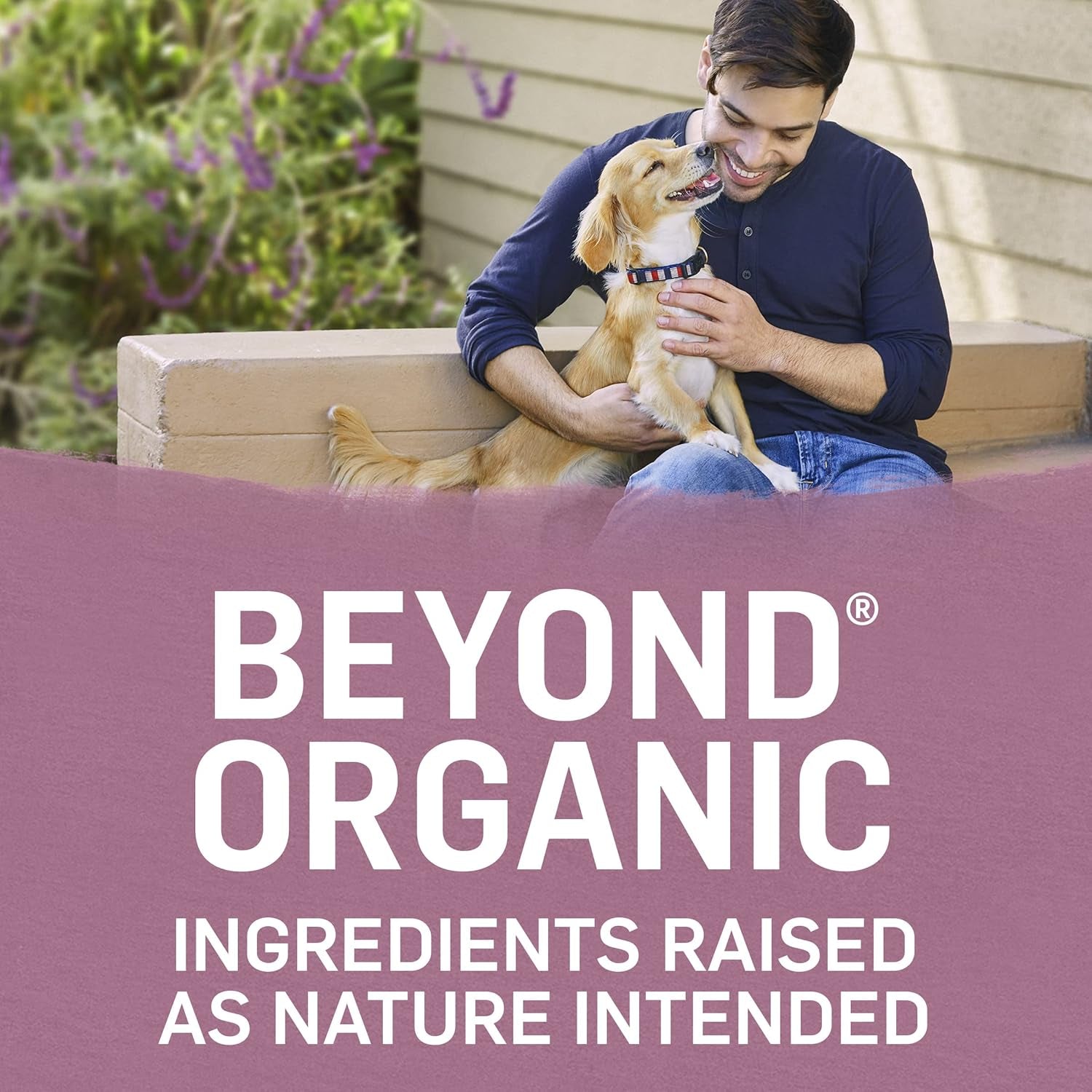 Purina High Protein Small Breed Adult Dry Dog Food, Organic Chicken, Egg & Carrot Recipe - 3 Lb. Bag