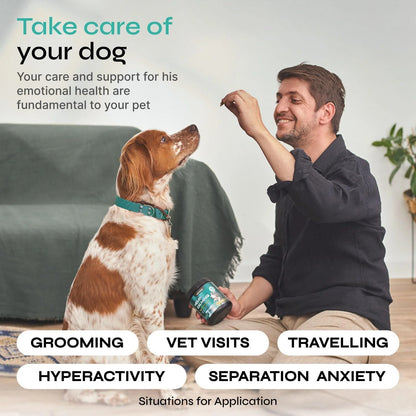 Calming Chews for Dogs Hemp Calming Chews for Dog Anxiety Relief Dog Calming Treats Anxiety Relief Dog Calming Treats for Stress Separation Storms & Anxiety Relief with Hemp Seed Oil