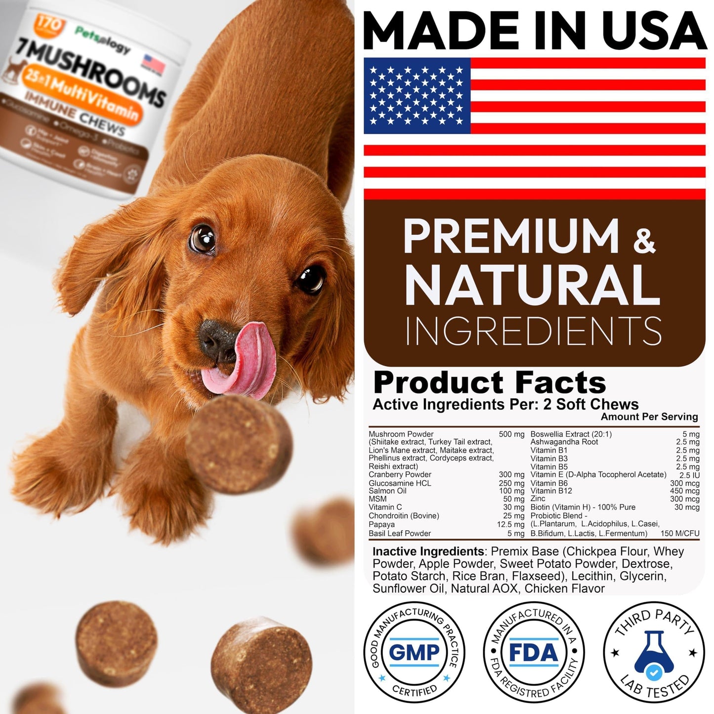 Mushroom Chews Supplement Multivitamin for Dogs Vitamins Health