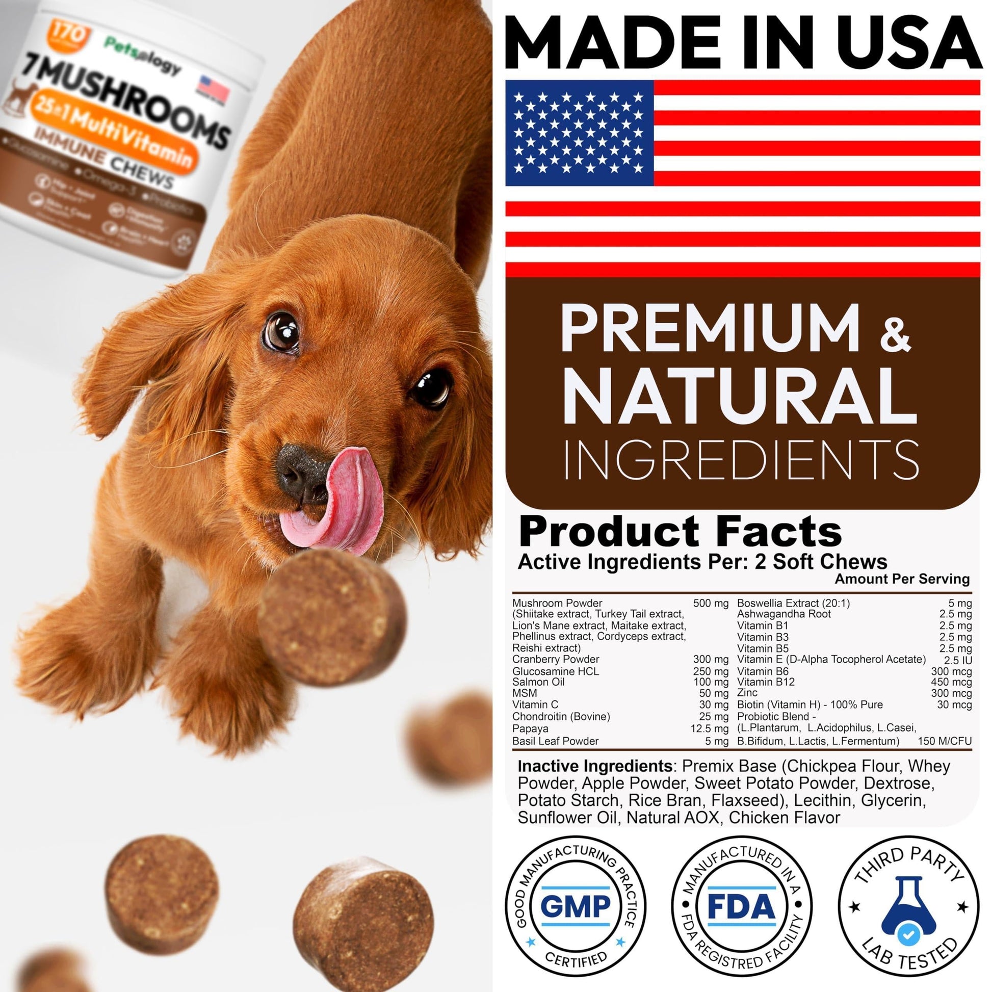 Mushroom Chews Supplement Multivitamin for Dogs Vitamins Health