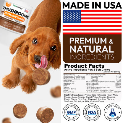 Mushroom Chews Supplement Multivitamin for Dogs Vitamins Health