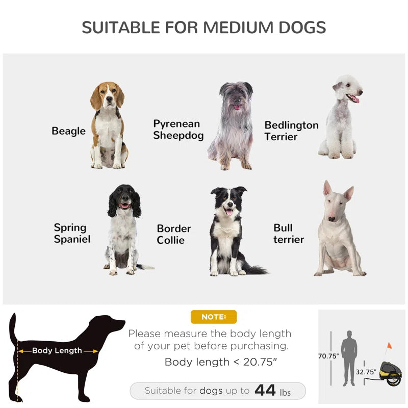 Foldable Pet Trailer