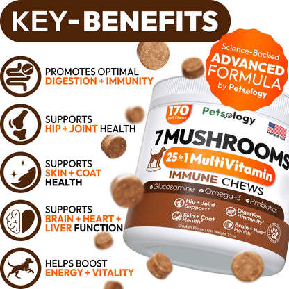 Mushroom Chews Supplement Multivitamin for Dogs Vitamins Health