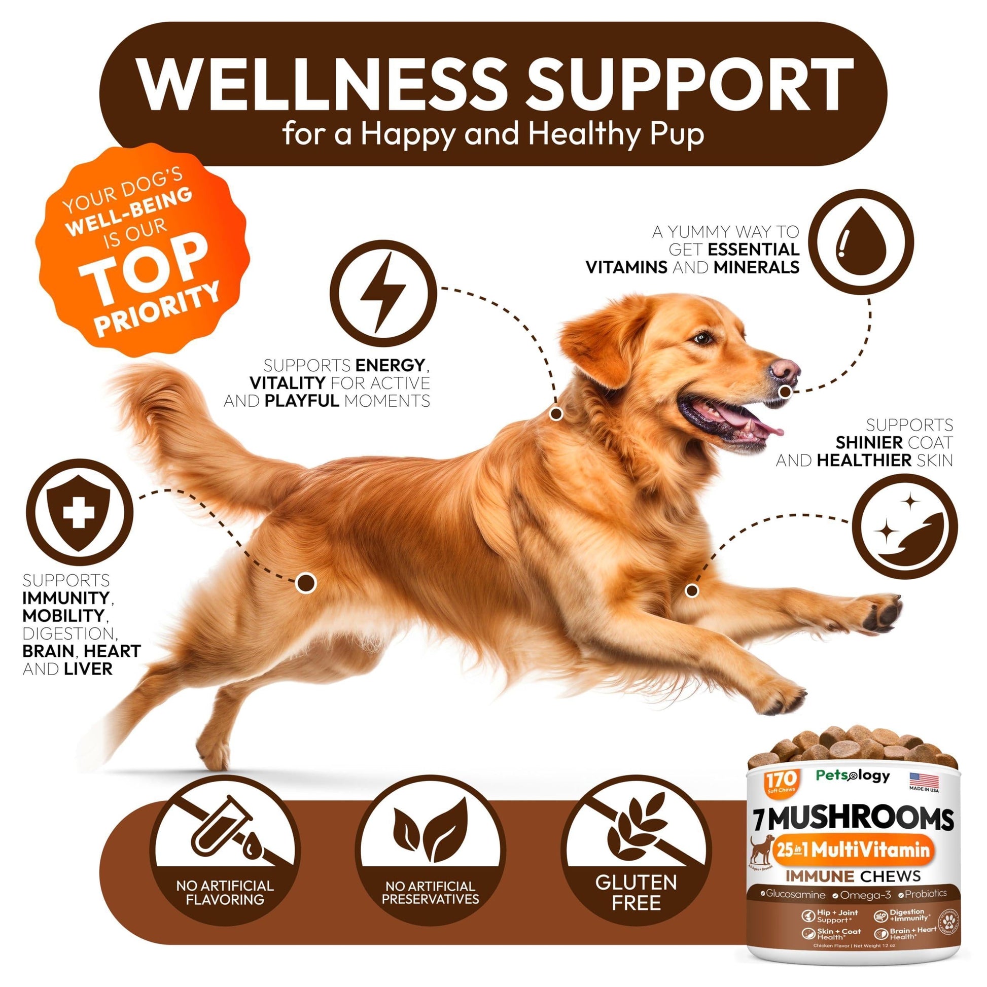 Mushroom Chews Supplement Multivitamin for Dogs Vitamins Health