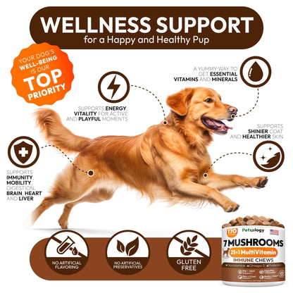 Mushroom Chews Supplement Multivitamin for Dogs Vitamins Health