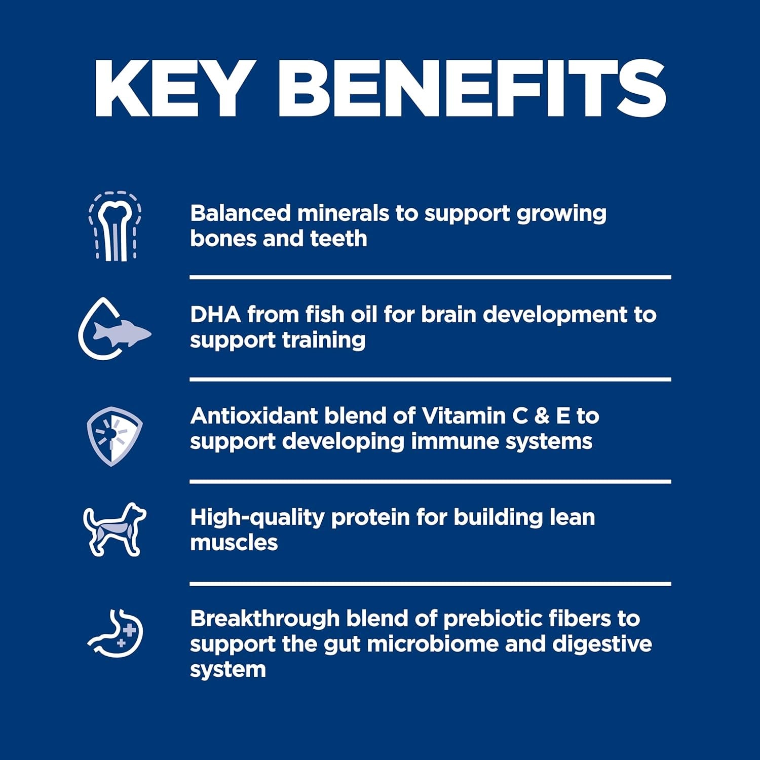 Puppy, Puppy Premium Nutrition, Dry Dog Food, Chicken & Brown Rice, 4.5 Lb Bag