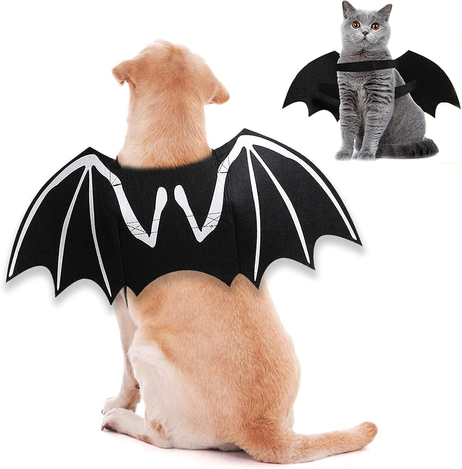 Dog Halloween Costumes, Cool Luminous Skeleton Bone Bat Wings Cosplay Cat Pets Costumes Dress up Apparel Accessories for Kitten Puppies, M
