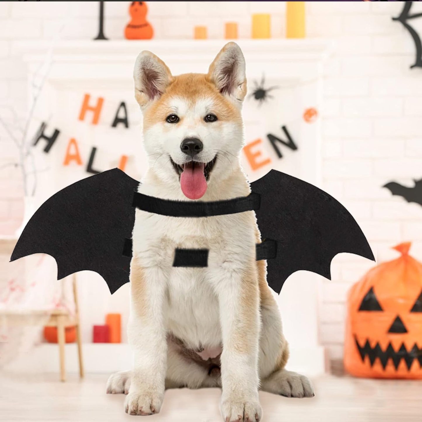 Dog Halloween Costumes, Cool Luminous Skeleton Bone Bat Wings Cosplay Cat Pets Costumes Dress up Apparel Accessories for Kitten Puppies, M