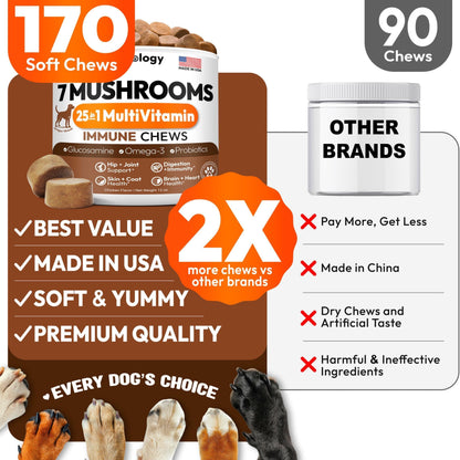 Mushroom Chews Supplement Multivitamin for Dogs Vitamins Health