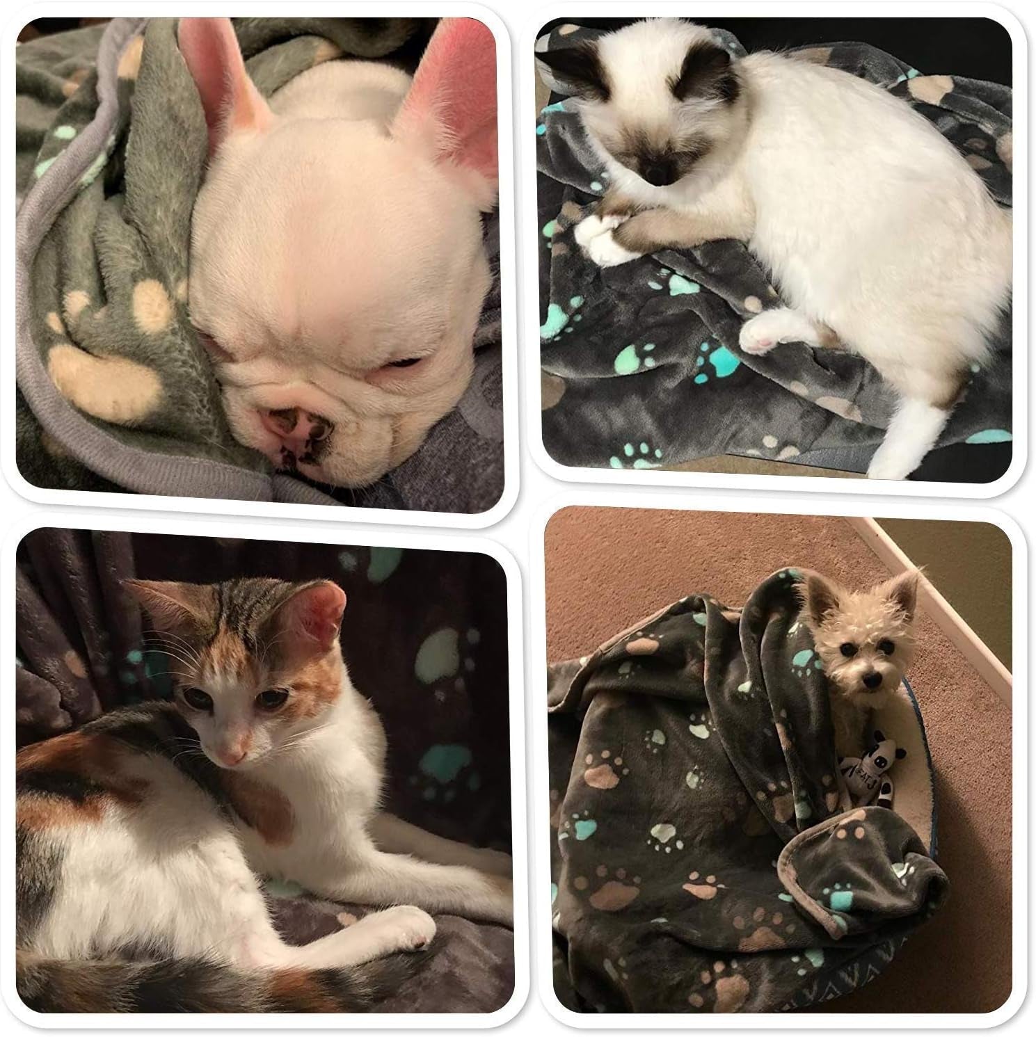 350 Gsm-Super Soft and Premium Fuzzy Flannel Fleece Pet Dog Blanket, the Cute Print Design Washable Fluffy Blanket for Puppy Cat Kitten Indoor Outdoor, Grey, 40 X 32 Inches