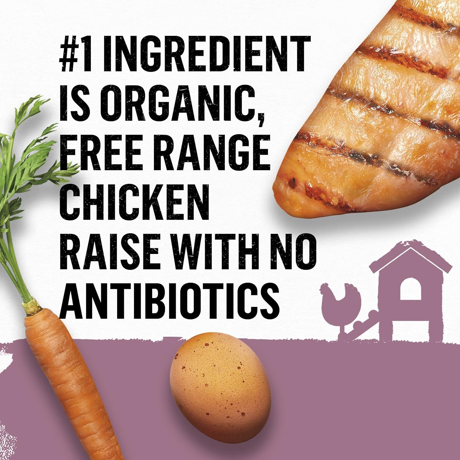 Purina High Protein Small Breed Adult Dry Dog Food, Organic Chicken, Egg & Carrot Recipe - 3 Lb. Bag