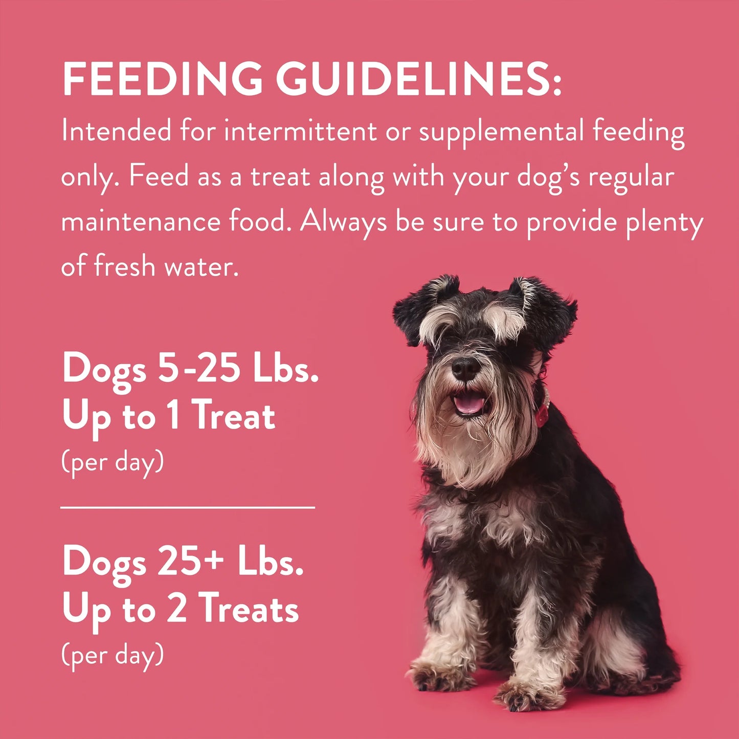 Butcher’S Naturals Pork Flavored Jerky Treats for Dogs, 16 Oz