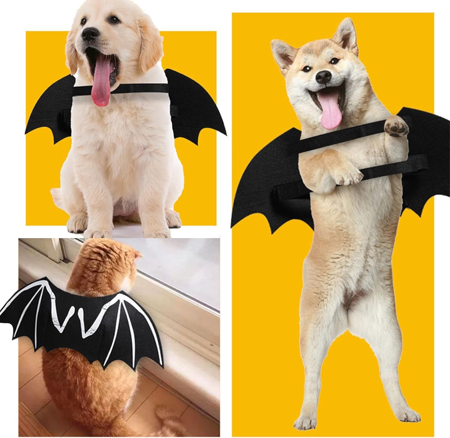 Dog Halloween Costumes, Cool Luminous Skeleton Bone Bat Wings Cosplay Cat Pets Costumes Dress up Apparel Accessories for Kitten Puppies, M