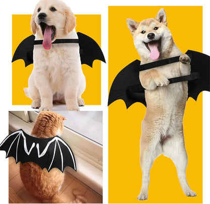 Dog Halloween Costumes, Cool Luminous Skeleton Bone Bat Wings Cosplay Cat Pets Costumes Dress up Apparel Accessories for Kitten Puppies, M