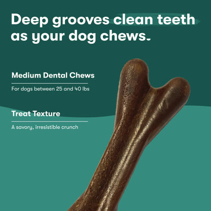 Chicken Flavor Dry Dental Treats for Medium Dogs, 8.8 Oz Bag, 7 Treats