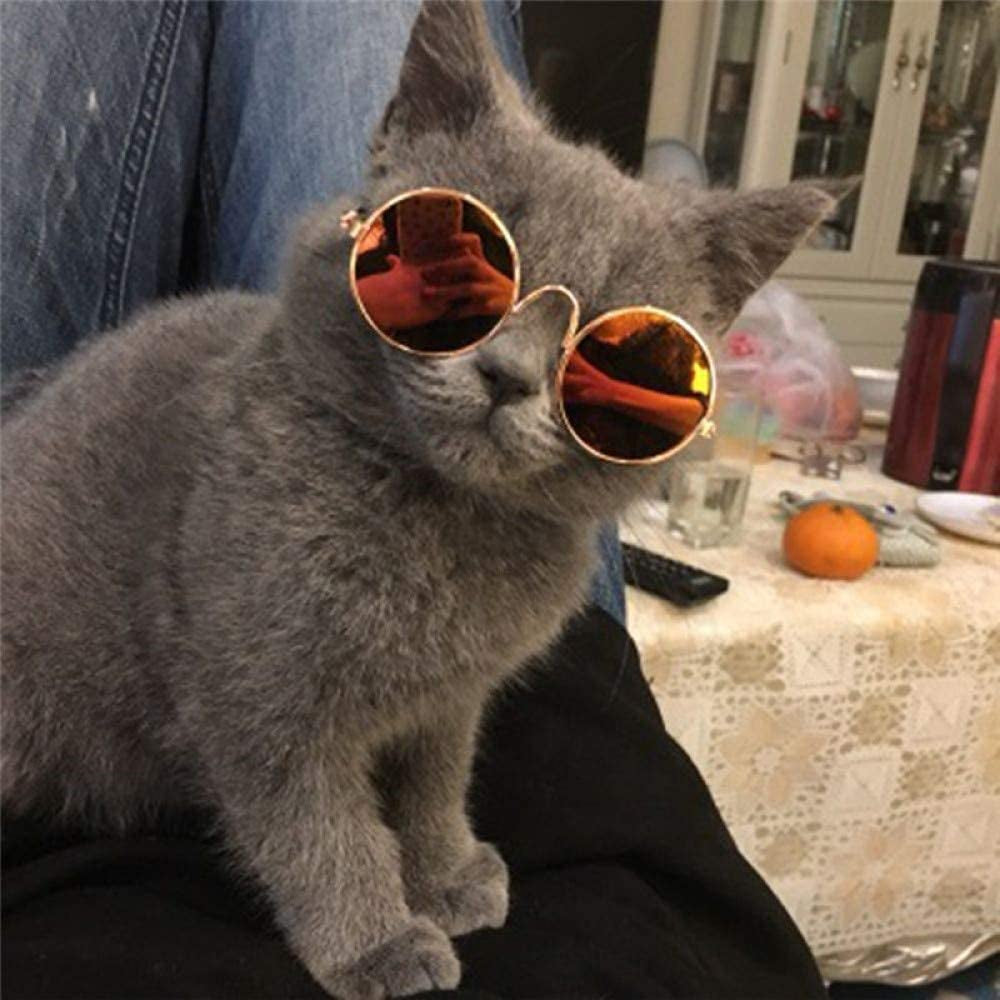 2Pcs Random Color Small Cat Kitten Glasses Pet Glasses Dog Sunglasses Pet Supplies Kittens Pet Sunglasses 3 Cm/1.1 Inch Cosplay Costume Photos Props