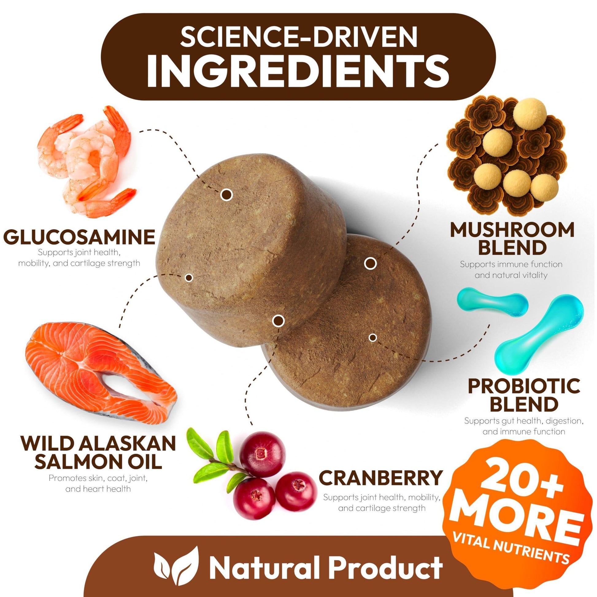 Mushroom Chews Supplement Multivitamin for Dogs Vitamins Health