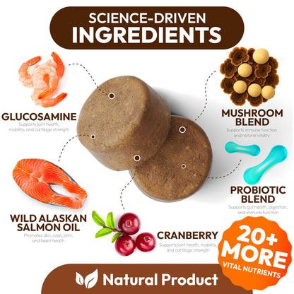 Mushroom Chews Supplement Multivitamin for Dogs Vitamins Health