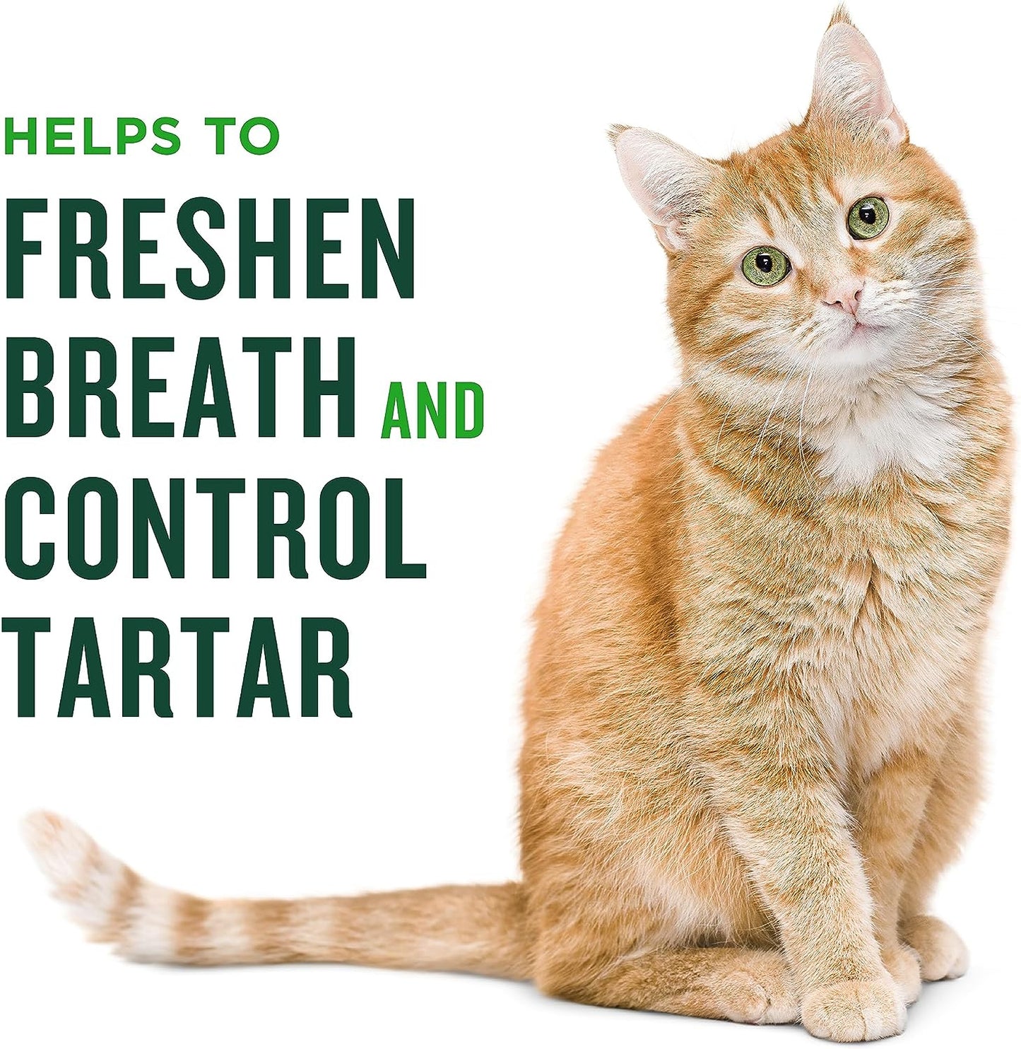 Dental Treats for Cats, Salmon Flavored Treats for Cats, Freshens Breath and Controls Tartar, 2.5Oz